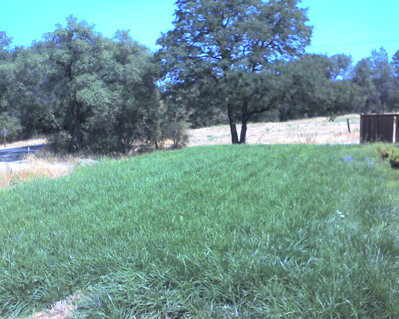 Completed California first Hoot septic installation Ophir still running today
